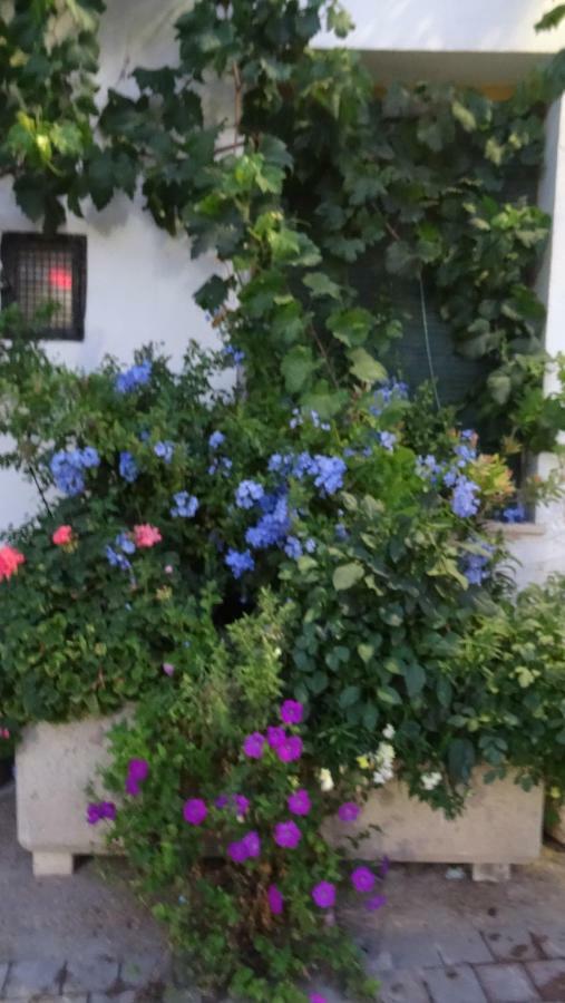Casa Rural Francisca Requena Eksteriør bilde
