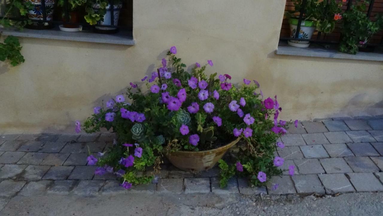 Casa Rural Francisca Requena Eksteriør bilde